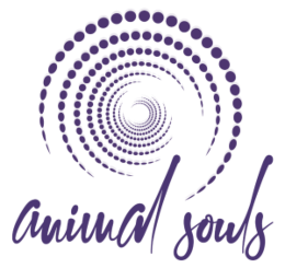 animal souls Alya Houdaf